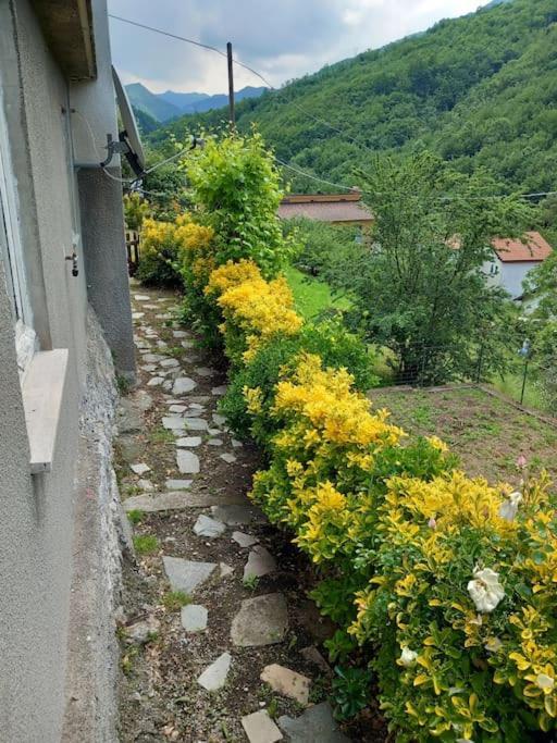 Il Non Ti Scordar Di Me Villa Valbravenna Екстериор снимка